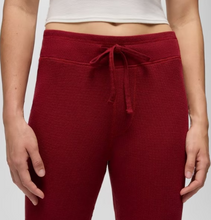 Load image into Gallery viewer, Touchstone Jogger Retrograde Heather