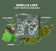 Load image into Gallery viewer, Sierra Storm Dr. Squatch Soap