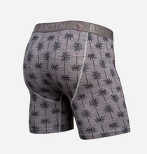 Load image into Gallery viewer, Classic Boxer Brief Palm Stripe - Jadeite Green