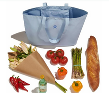 Load image into Gallery viewer, 20 L Tag Along Tote Sandpiper