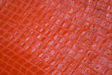 Load image into Gallery viewer, SOL All Season Blanket