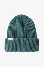 Load image into Gallery viewer, MARKET EMBROIDERY BEANIE
