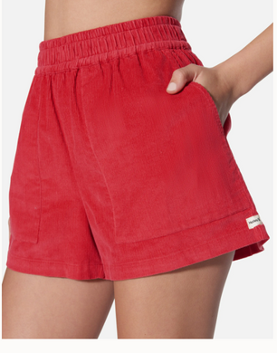 Red shorts worn by a person on a white background