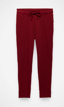 Load image into Gallery viewer, Touchstone Jogger Retrograde Heather
