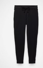 Load image into Gallery viewer, Touchstone Jogger Black Heather
