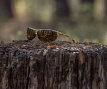Load image into Gallery viewer, Zephyr Tortoise + Polarized Brown Lens
