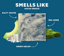 Load image into Gallery viewer, Coastal Mist Dr Squats Soap
