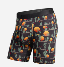 Load image into Gallery viewer, Classic Icon Boxer Brief  Cacti Black
