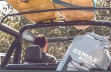 Load image into Gallery viewer, Ice Mule Juant 15
