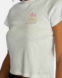 Mycelium T