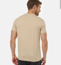 Load image into Gallery viewer, Golden Spruce T
